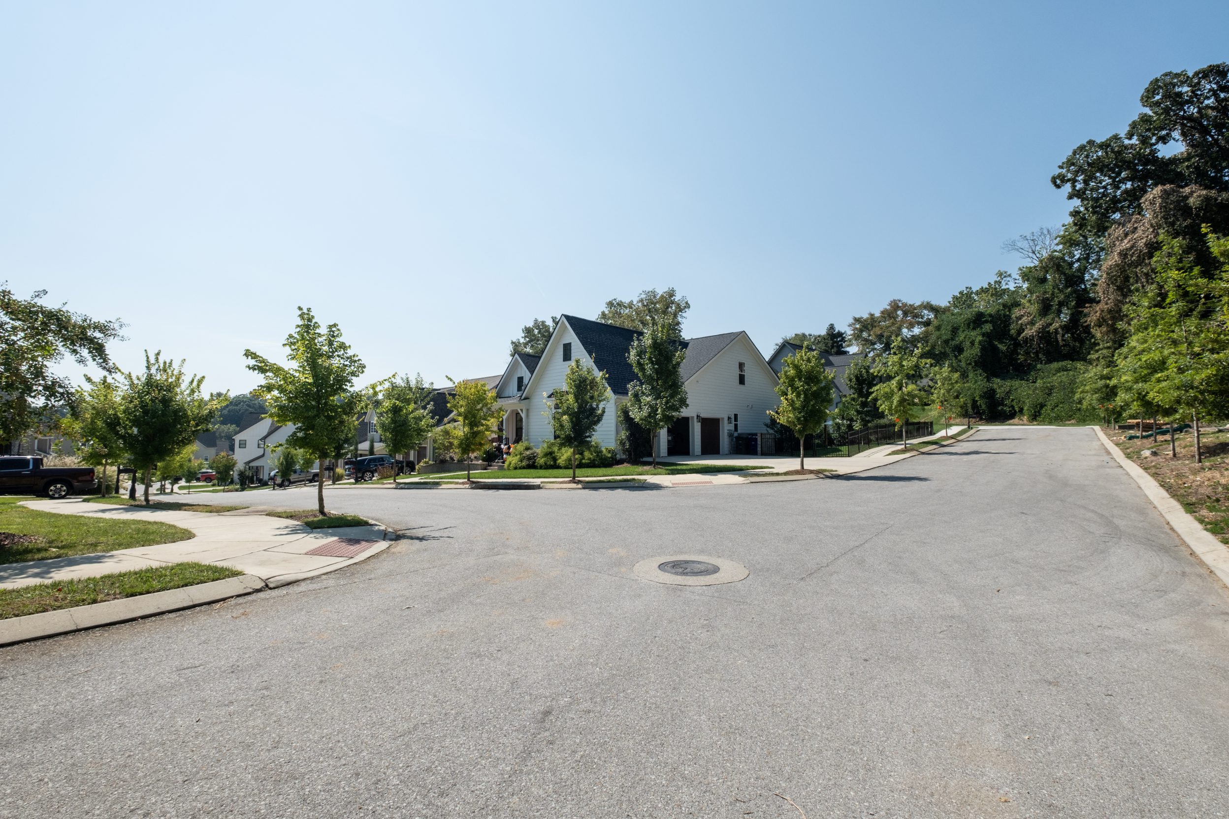 Street-level view down the neighborhood street with young shade trees